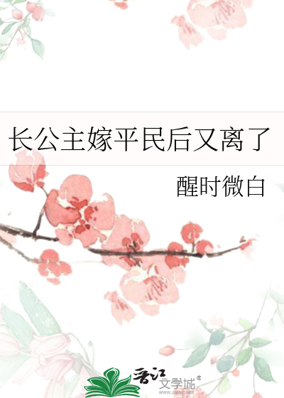 长公主嫁将军