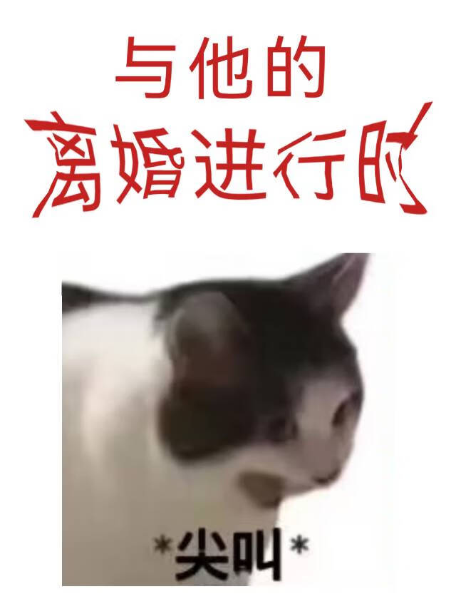 大家都在猜测小说