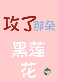 《黑莲花攻略手册》