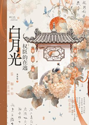 失忆男O他天天闹离婚