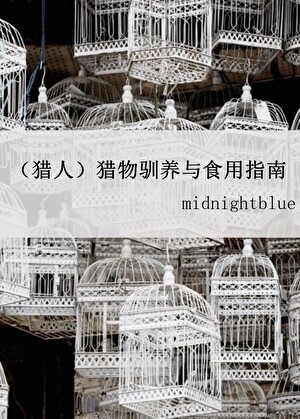吐槽役在乙游成为救世主