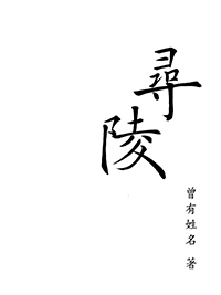 王女的婚事