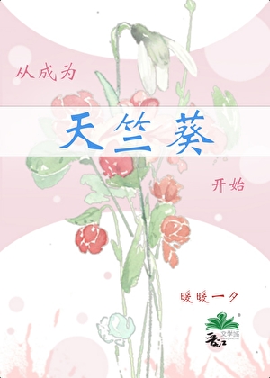 雪晚时晴